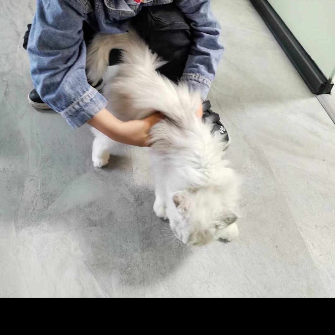 一个女孩