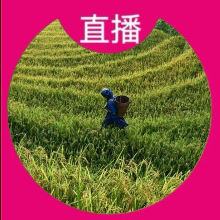 富龟有鱼