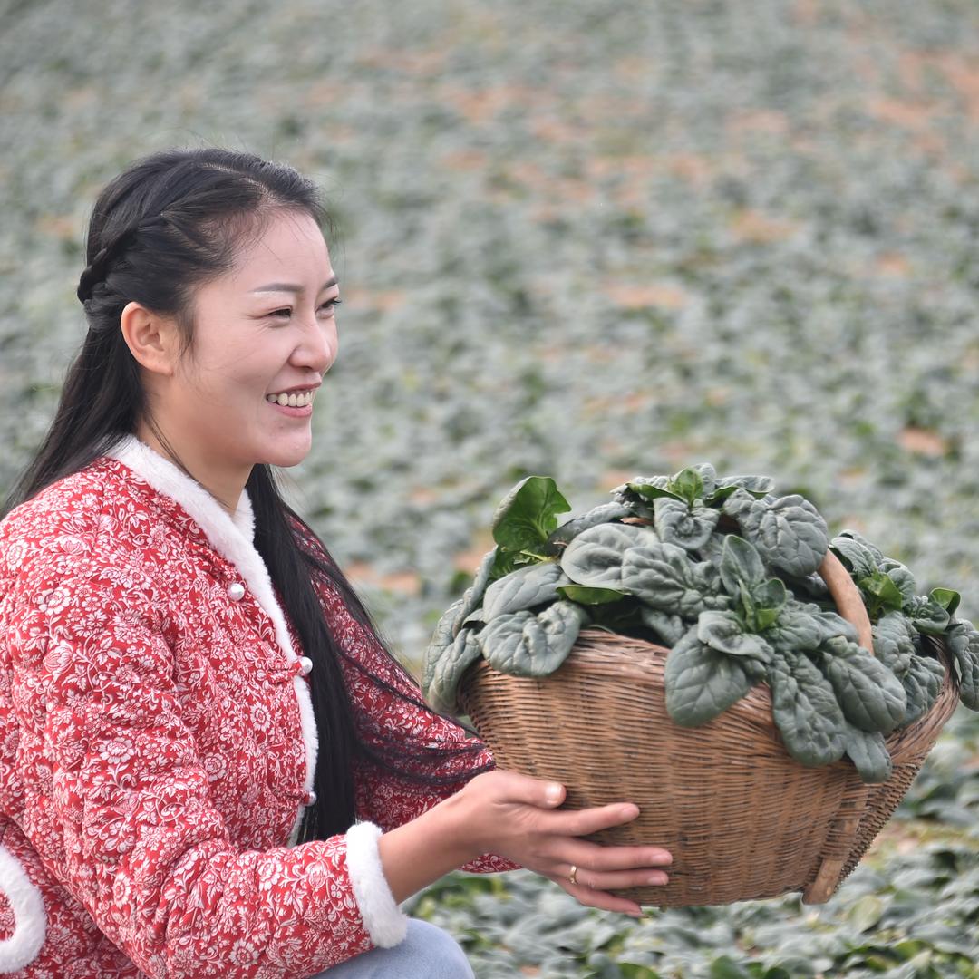 懒洋洋（爱吃菜）