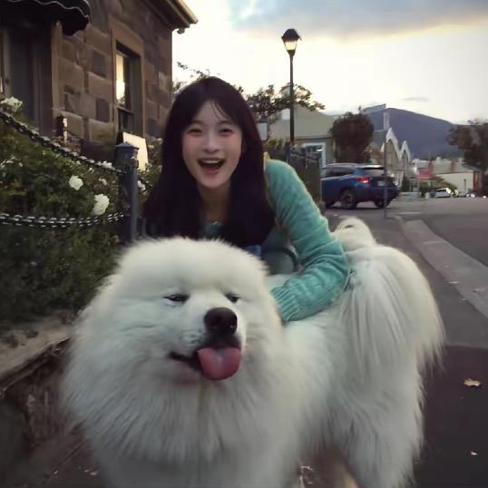 固执