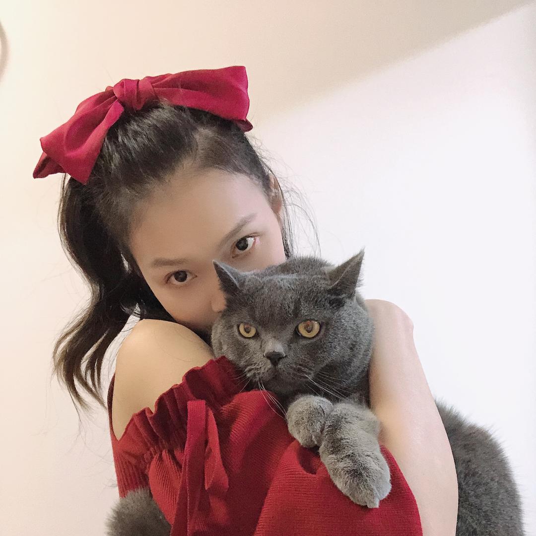 大布布
