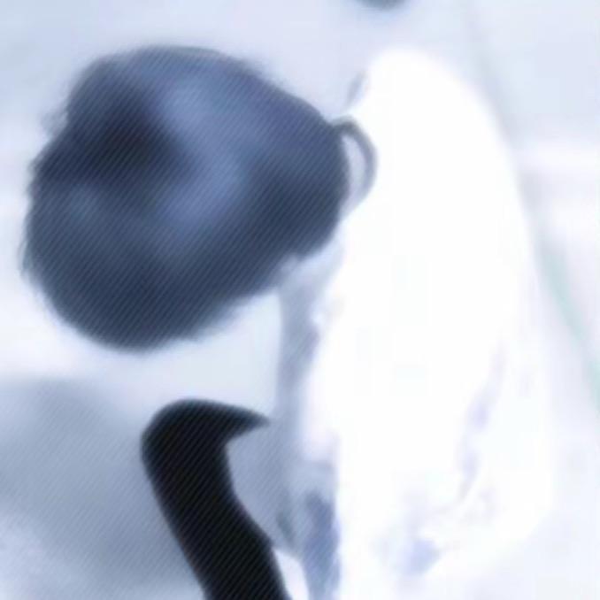 慢摇谨