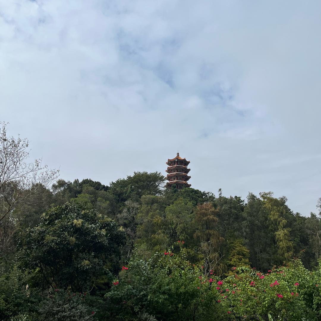 自己的一片天