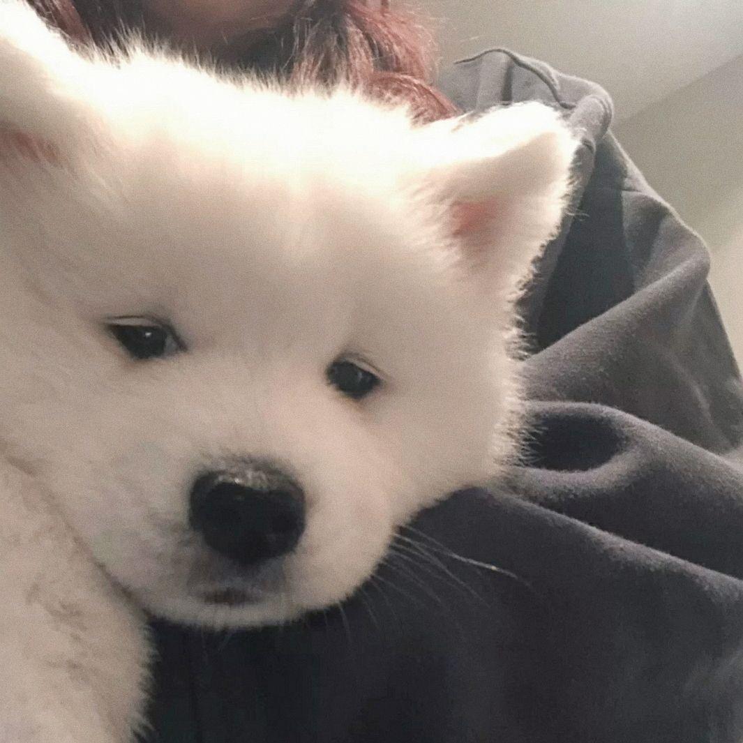 ？
