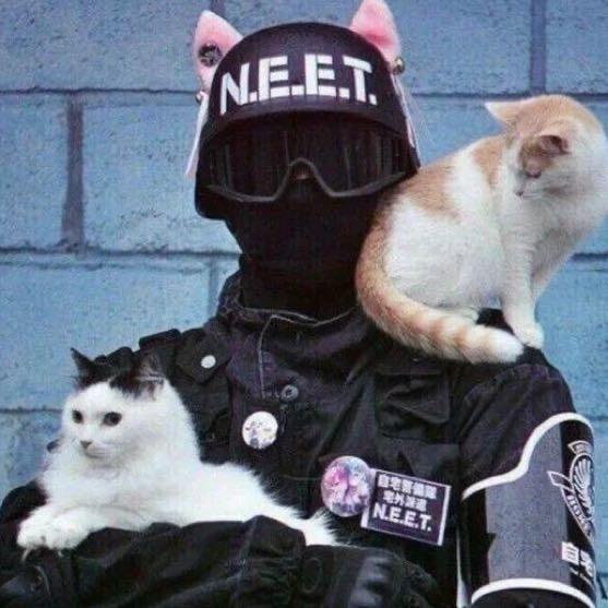 扑哧说