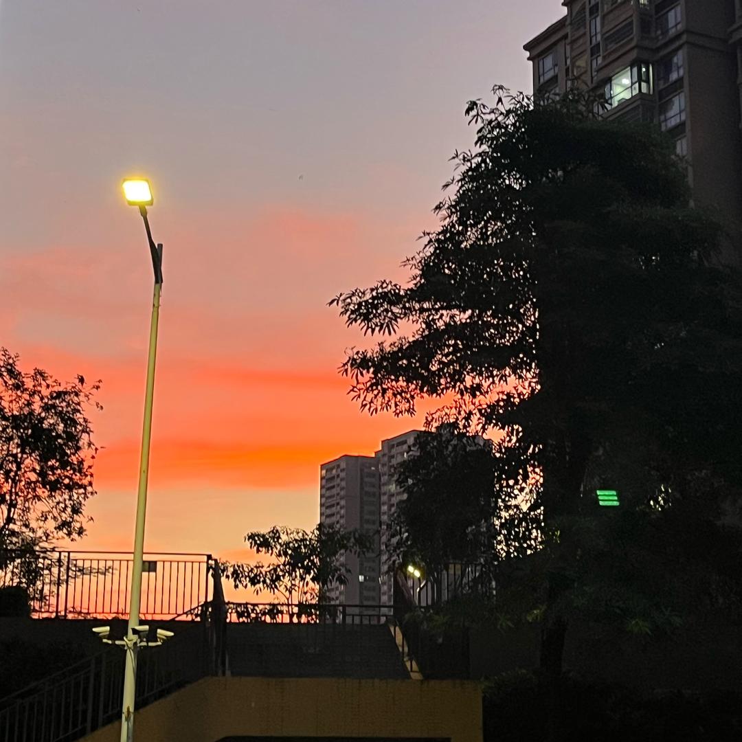 米饭王