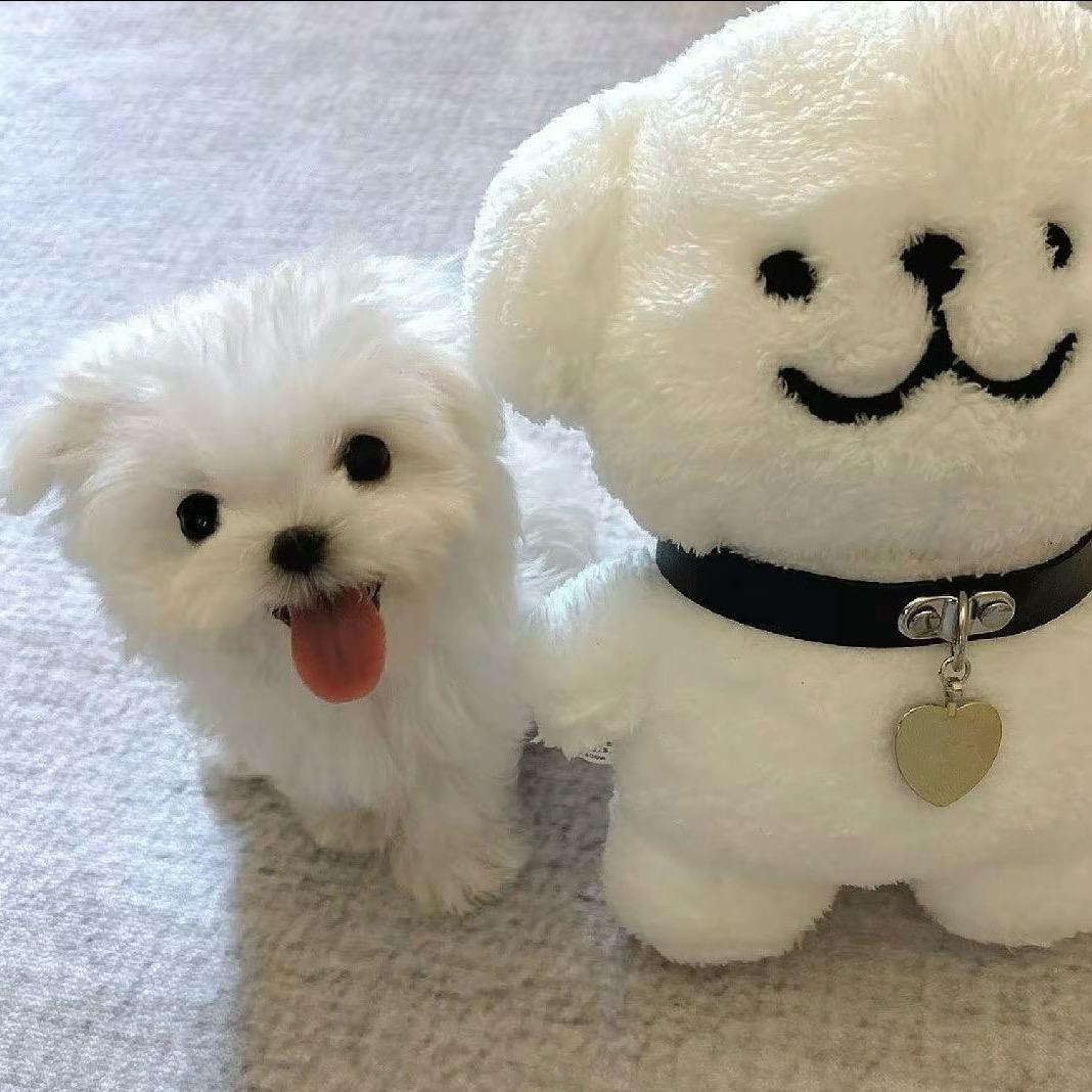 脆秋葵.
