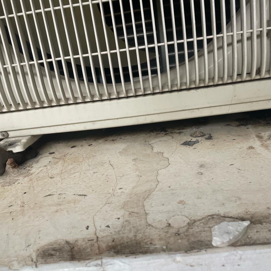 女装宠粉专场