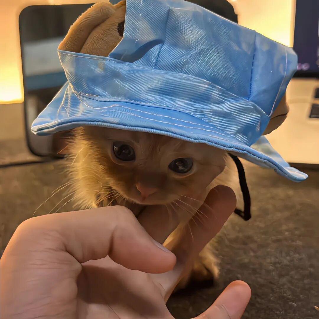 泡泡堂