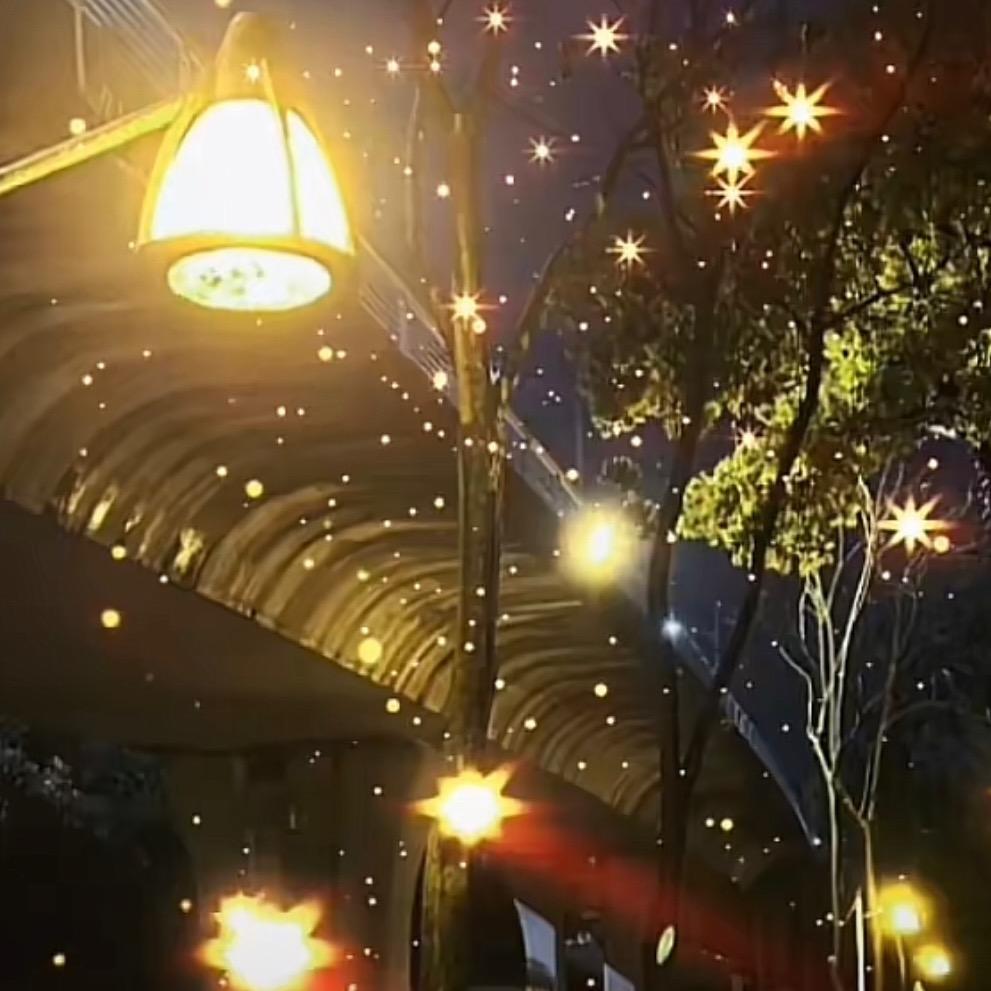幸运💫相随