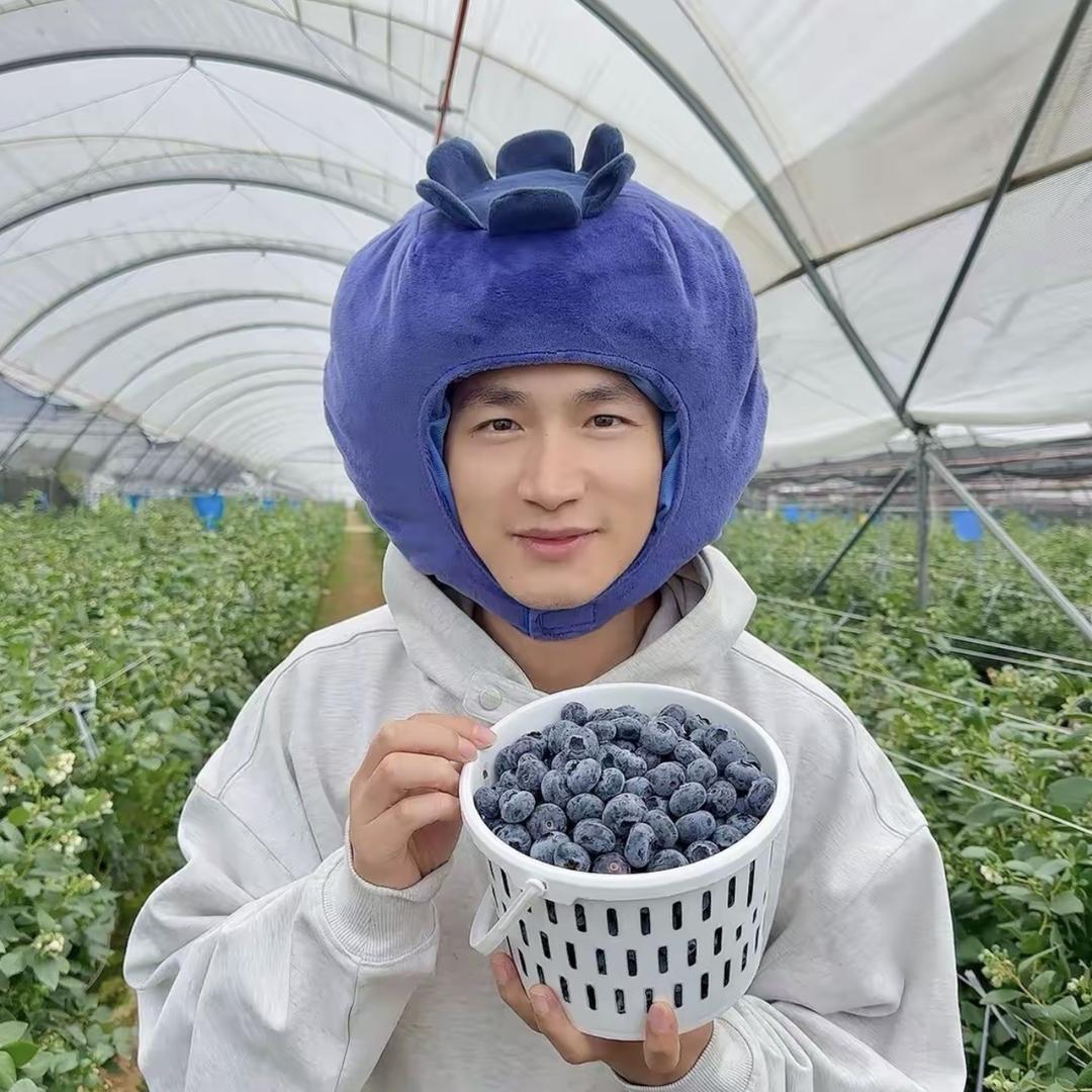 蓝莓欧巴（采乐云邦）