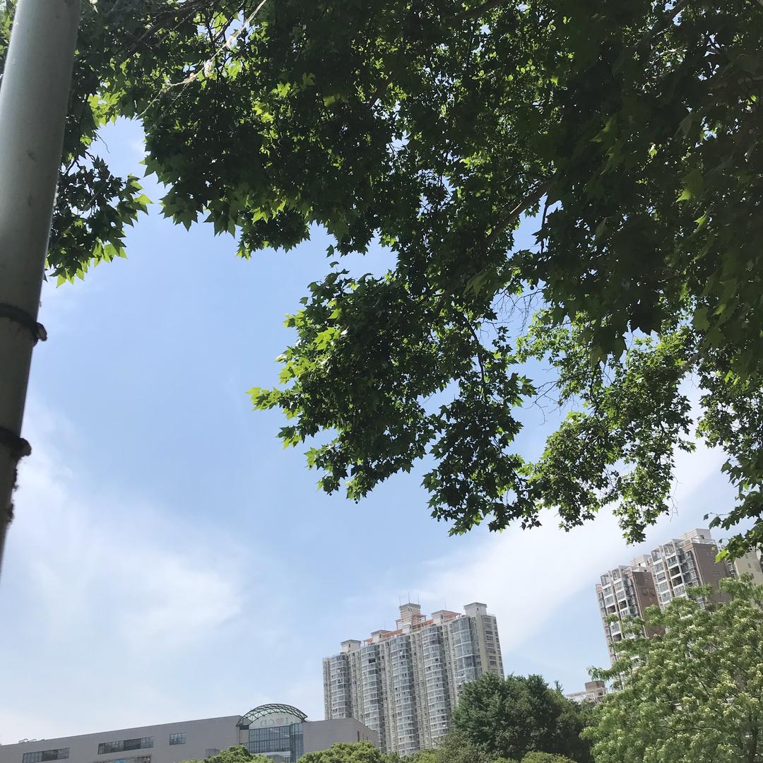 小月追兔