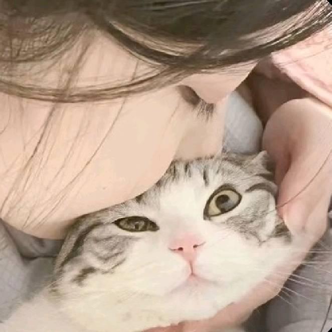 乐乐看🐱🐕版