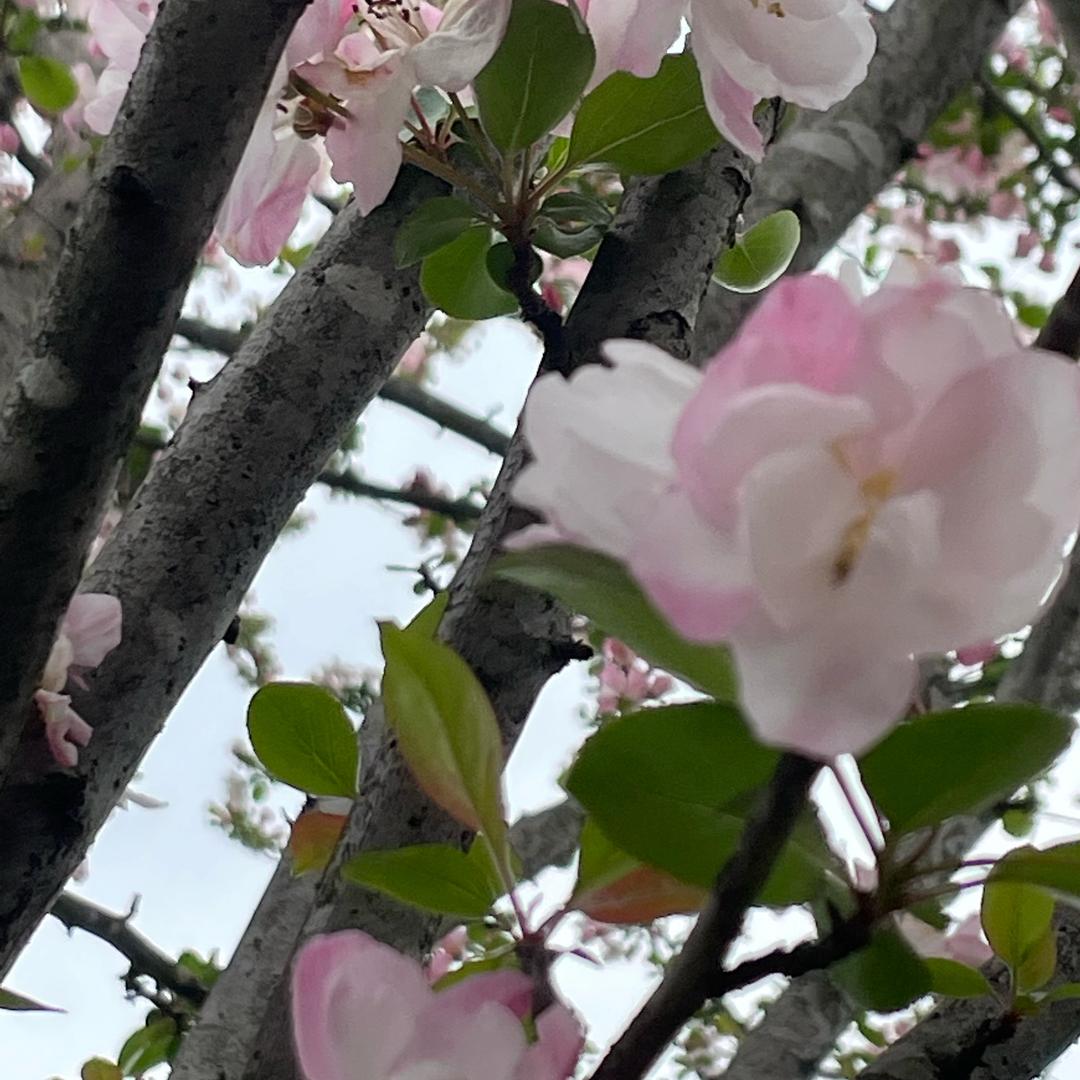 小散玩家