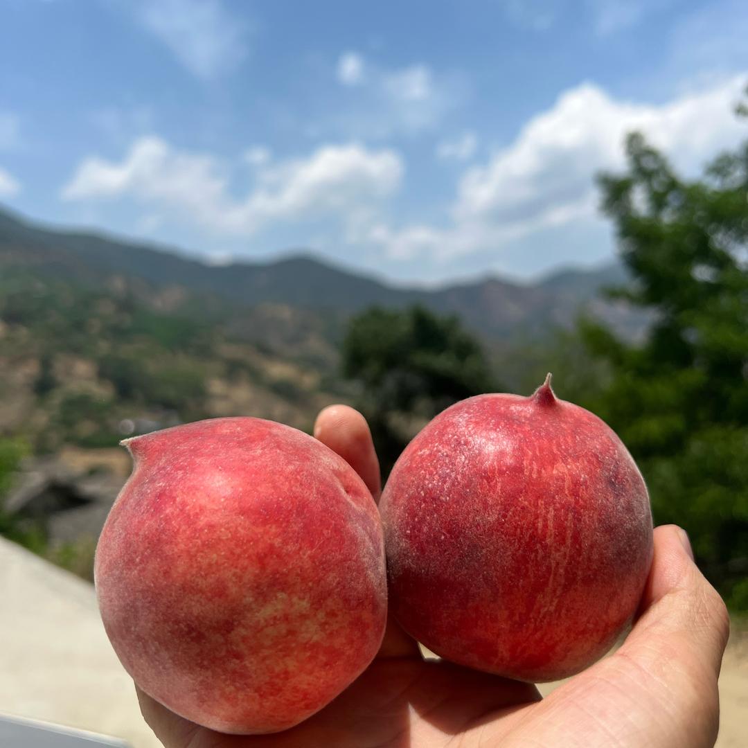 大凉山的味道。
