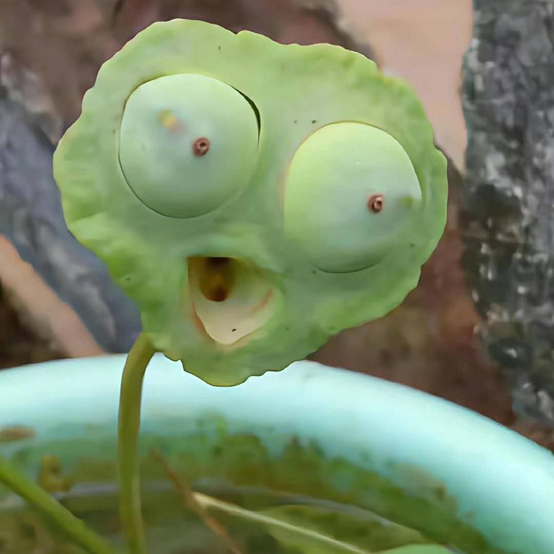 云卷画家居