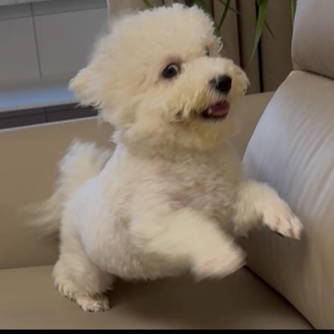 旎旎和小白