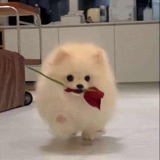 想要两句话