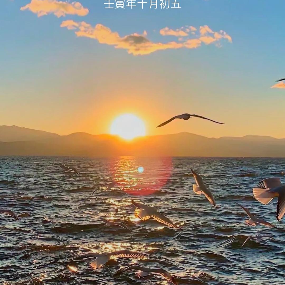 新158