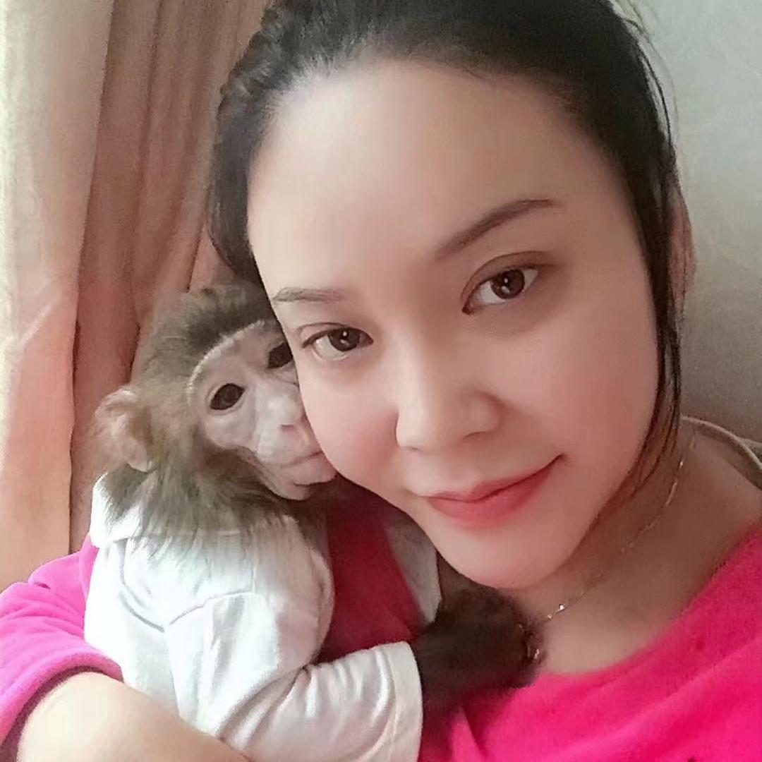 毛豆养殖