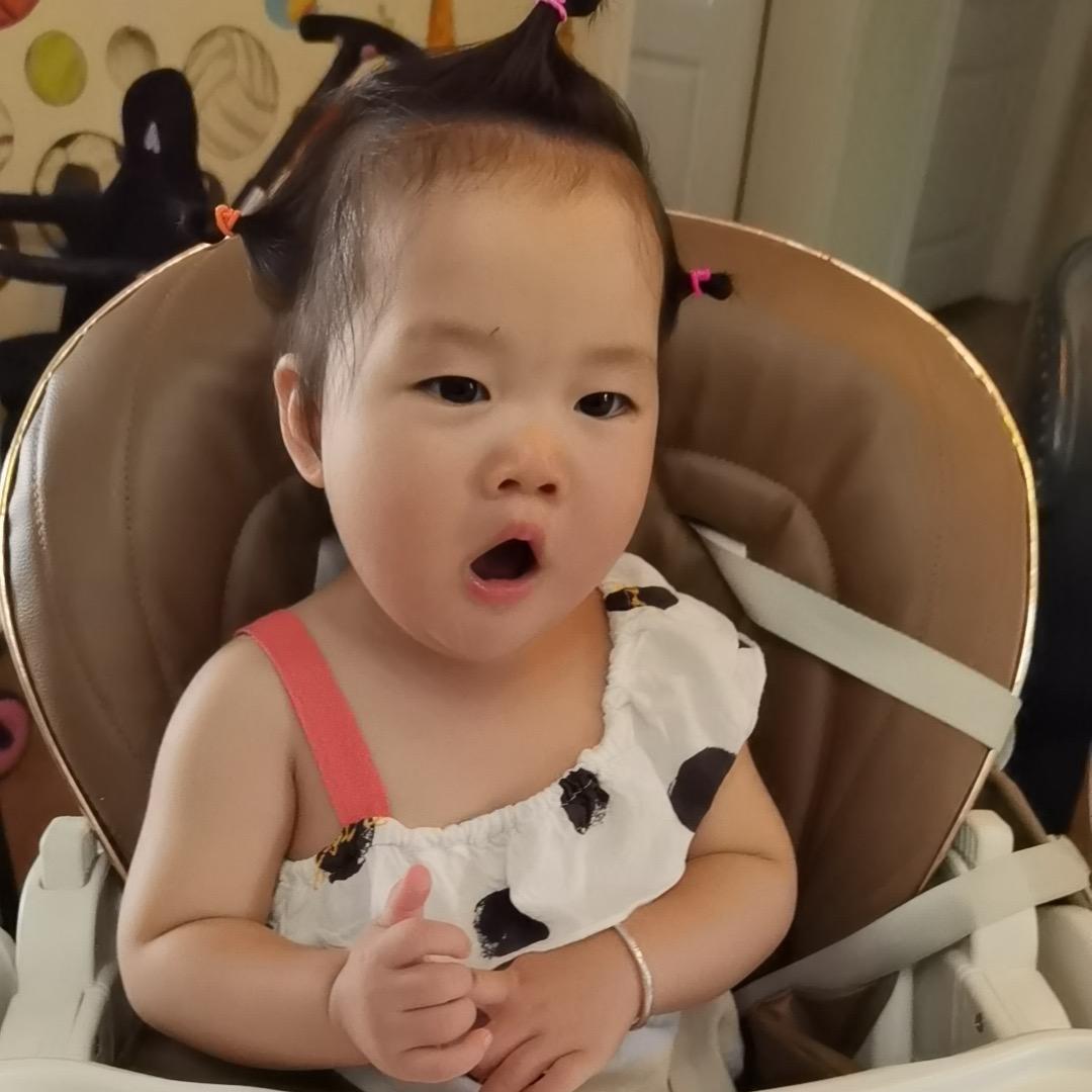 臻臻宝