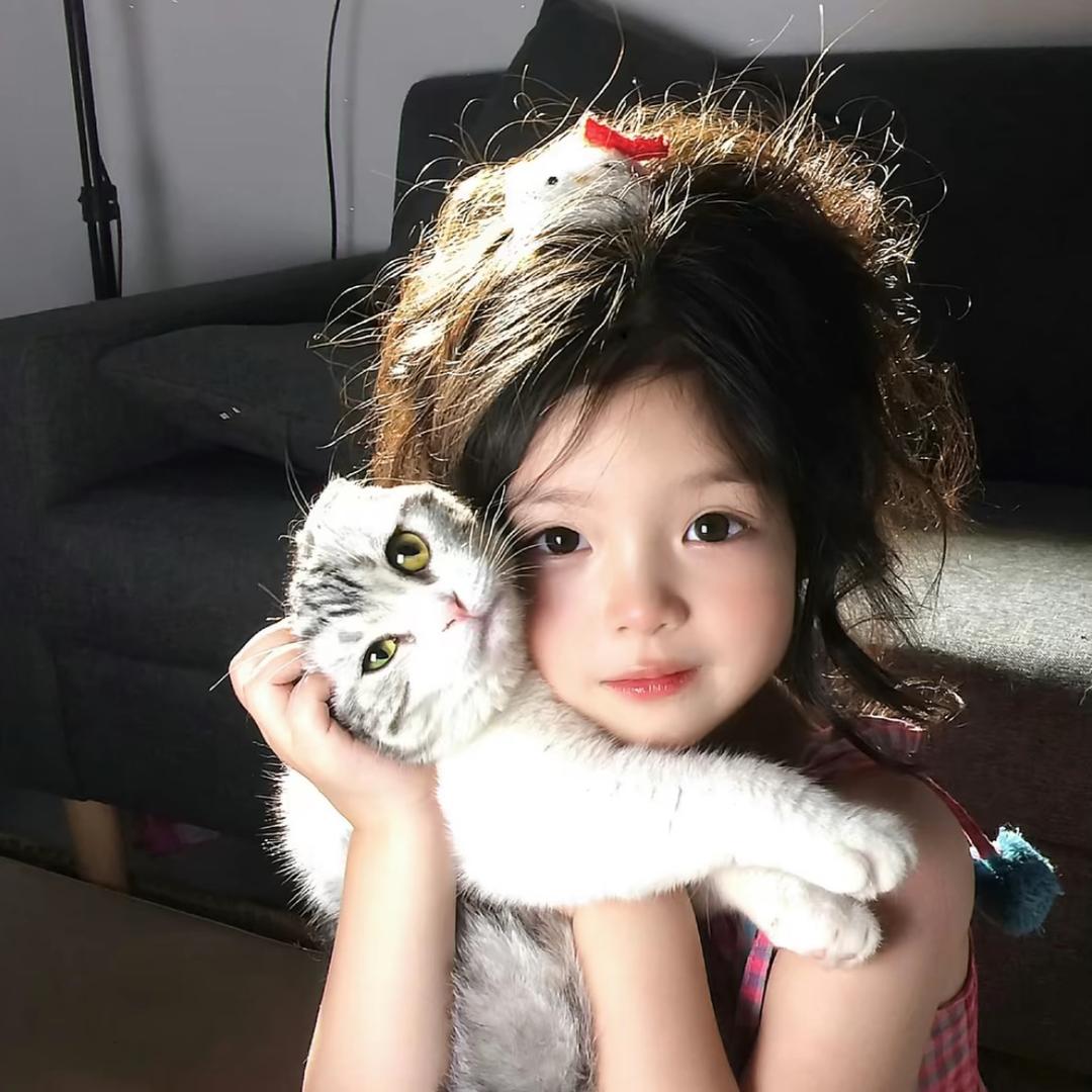 椰子 冻