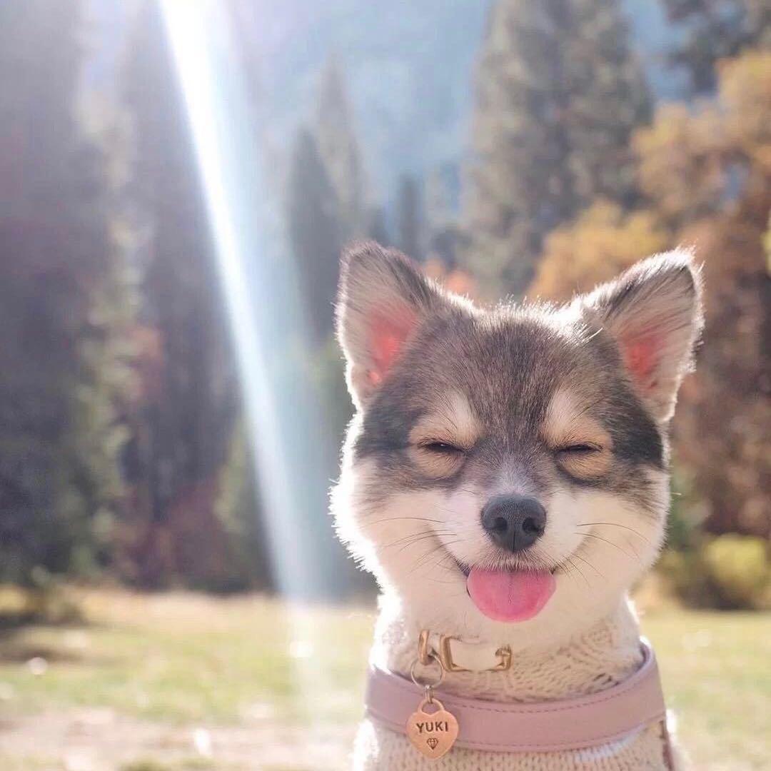 漠然。