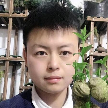 木槿花卉园艺场