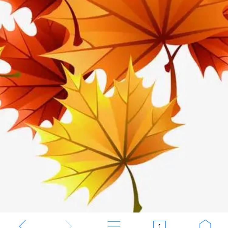 枫叶🍁