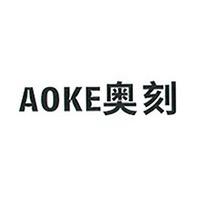 奥刻AOKE电动车旗舰店