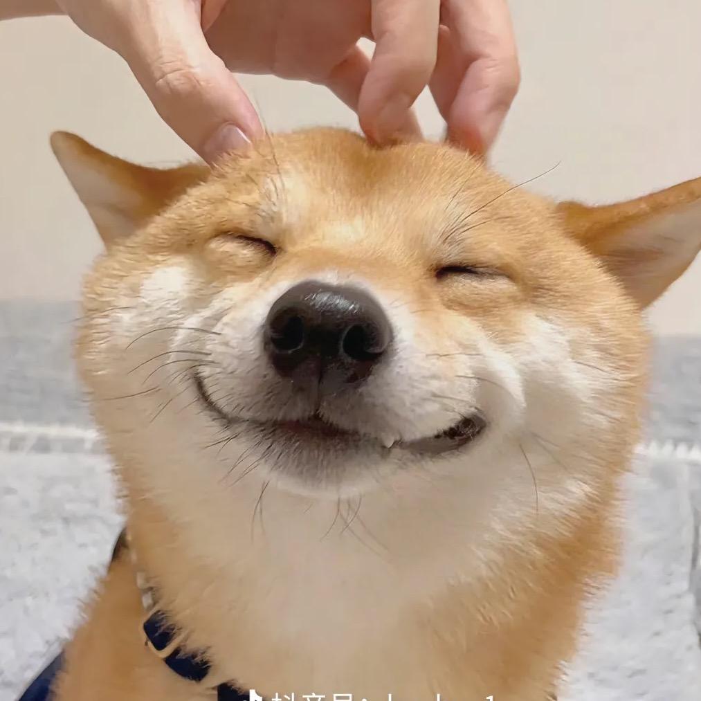 糯糯萌宠