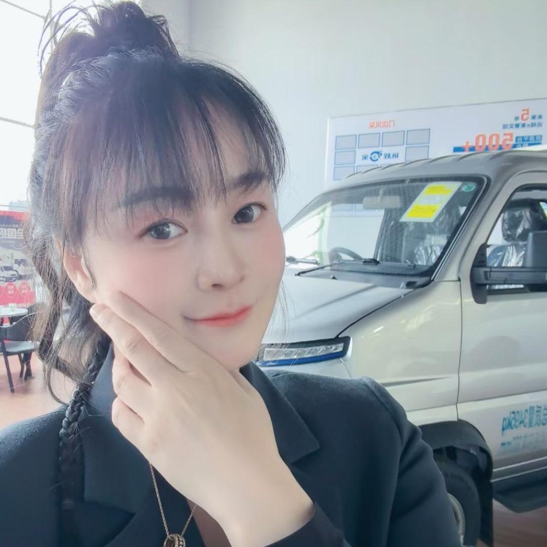 文益友新能源龙灰灰