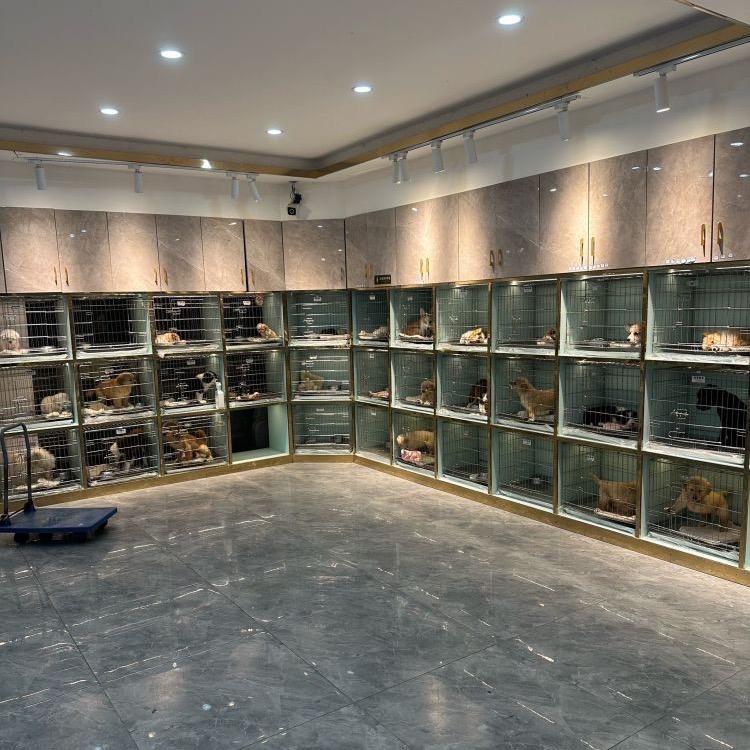 梦宠山庄犬舍猫舍苏州总店