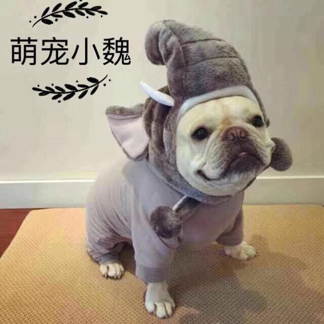 言顺宠物语录