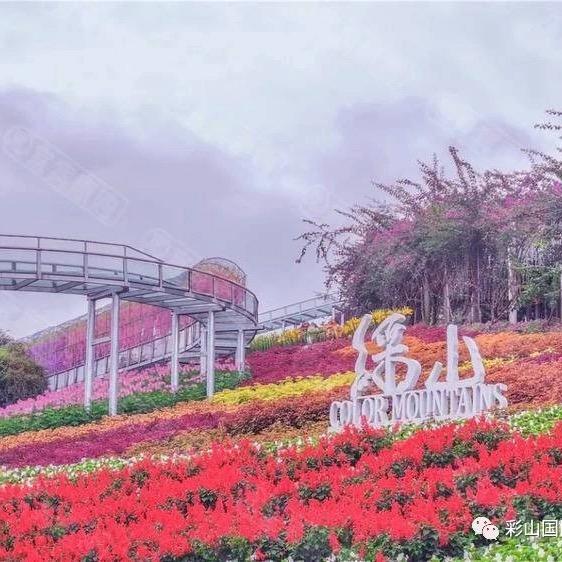 玉龍花海