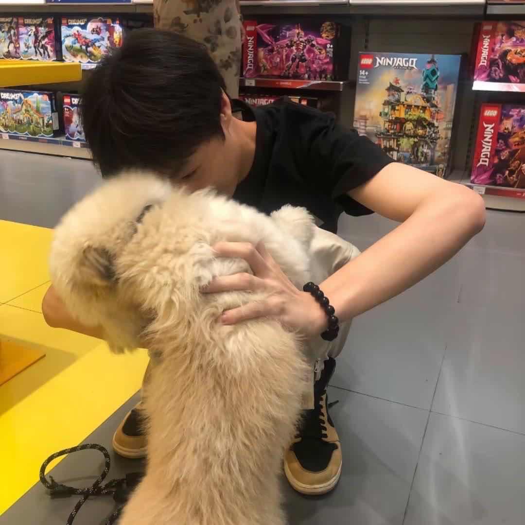 赵珍珍