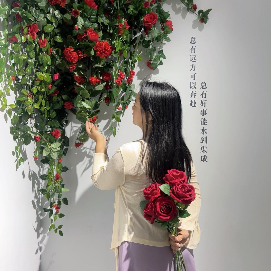 乐菲儿~