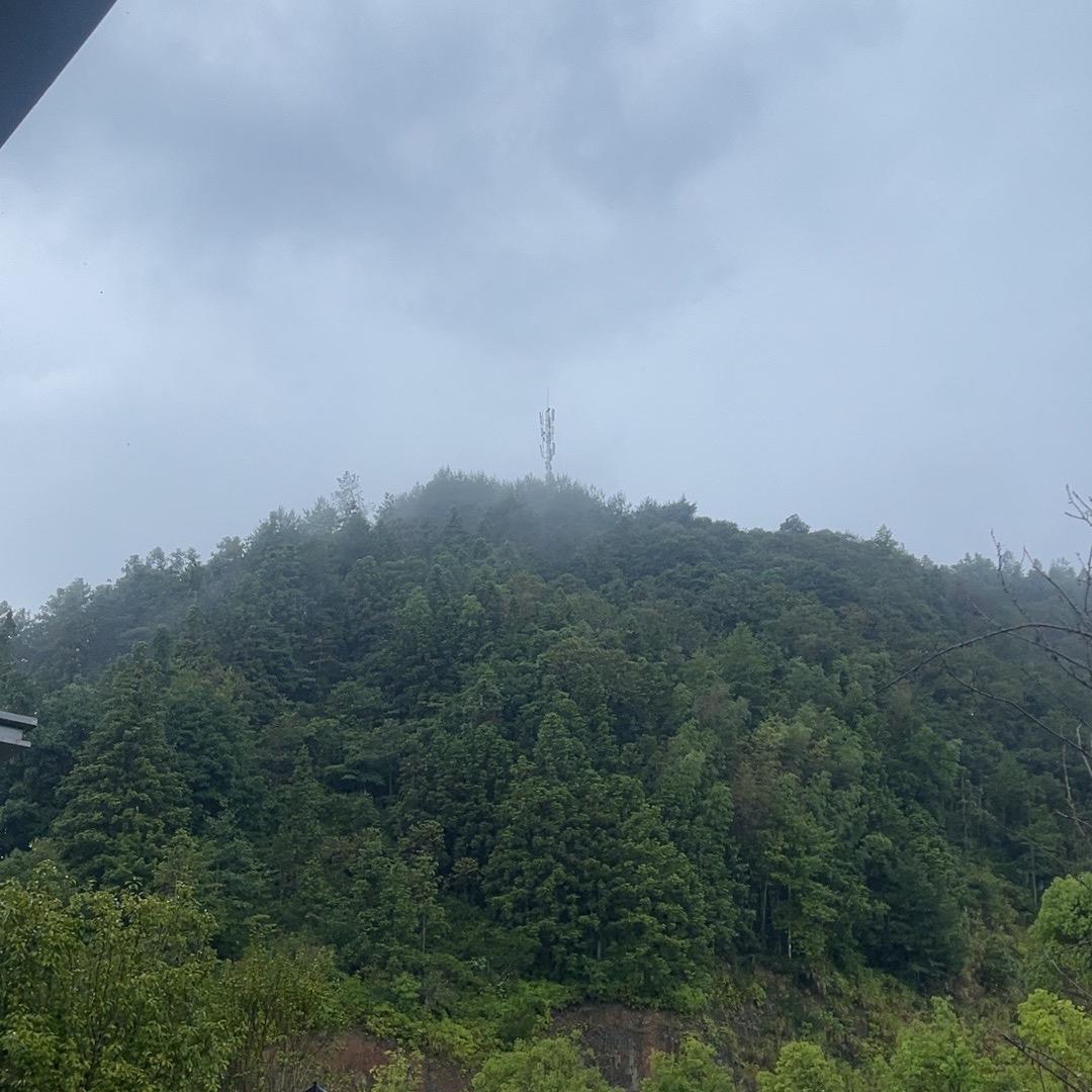 唐唐小助理