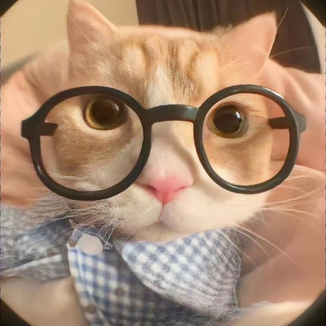 爱次火鸡面🍝