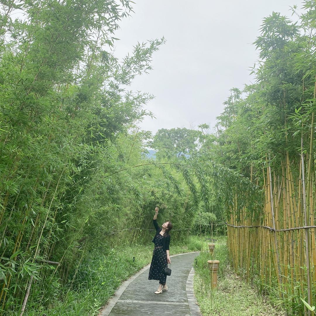 小颜