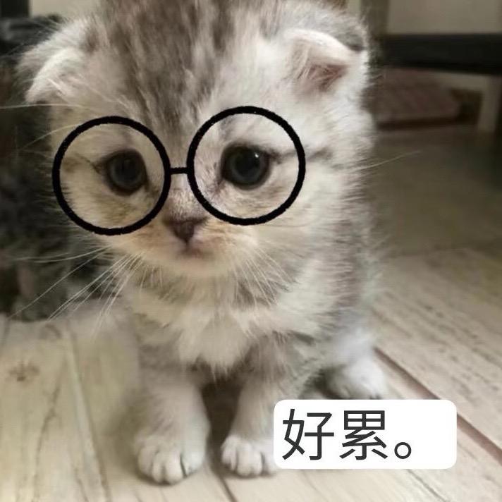 榴莲配豆角