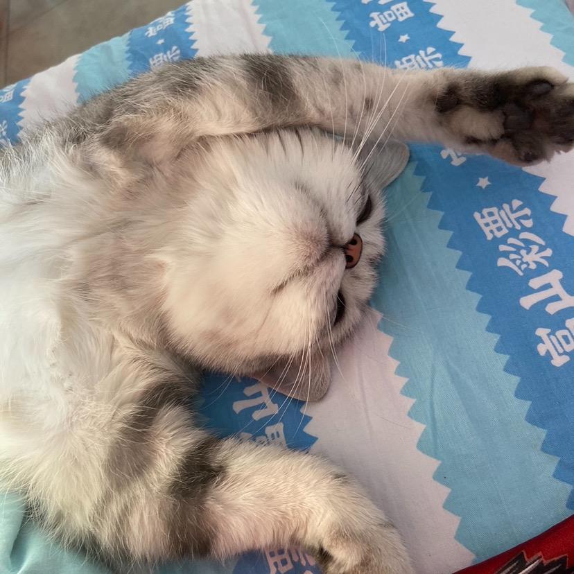 李甭甭