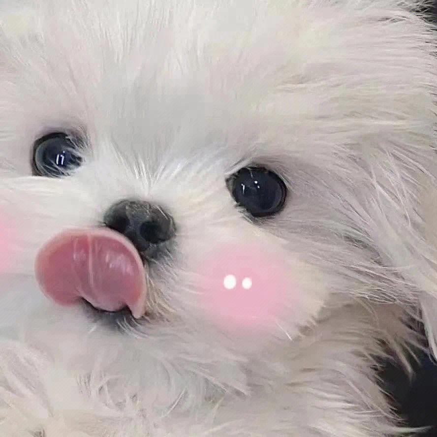 ohh涵