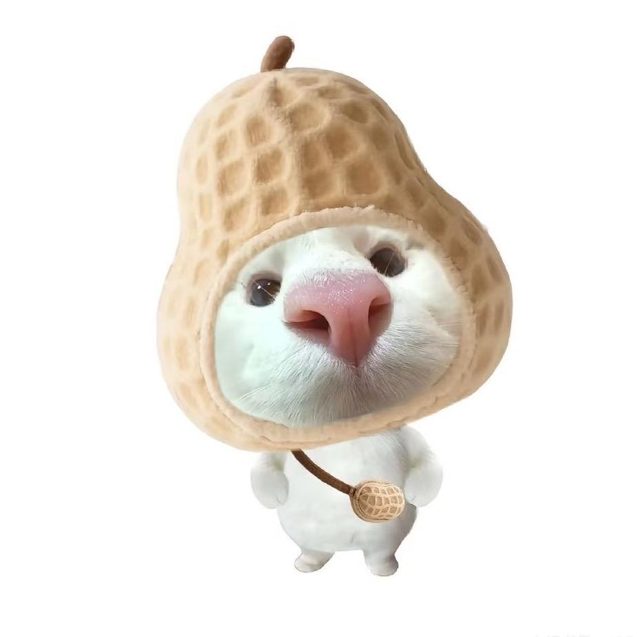 小脆魚🐠