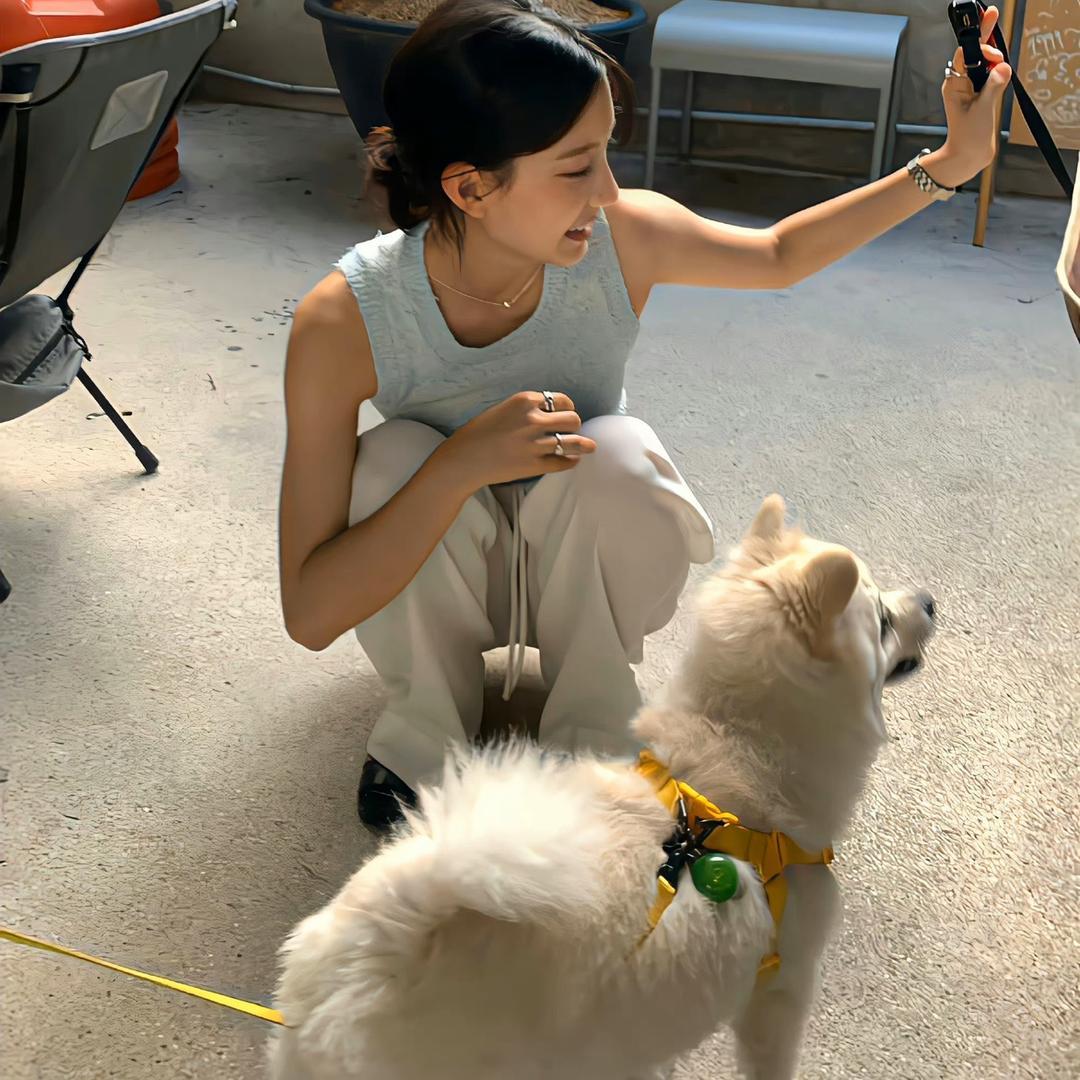 椰子吃叶子🍃