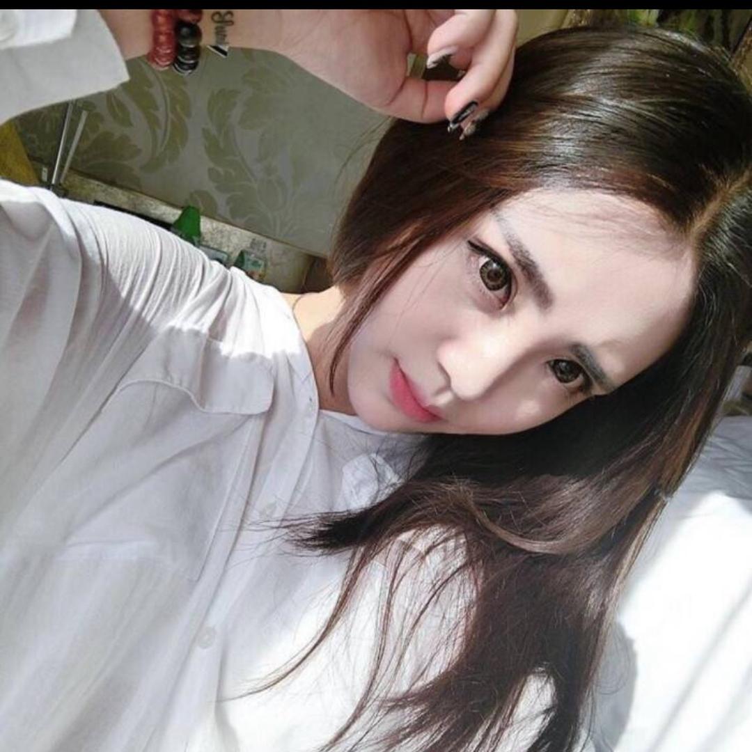 白杨下的小草