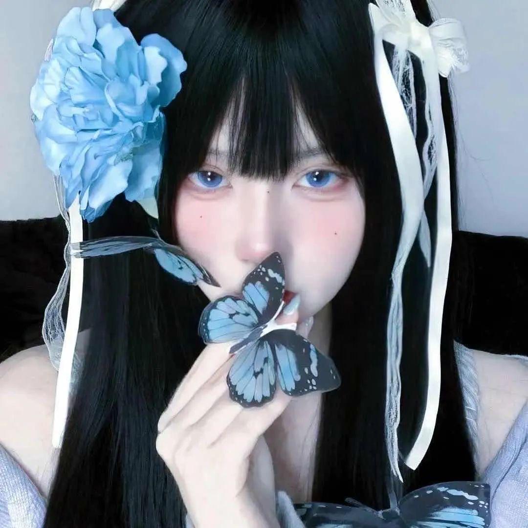 筱碟