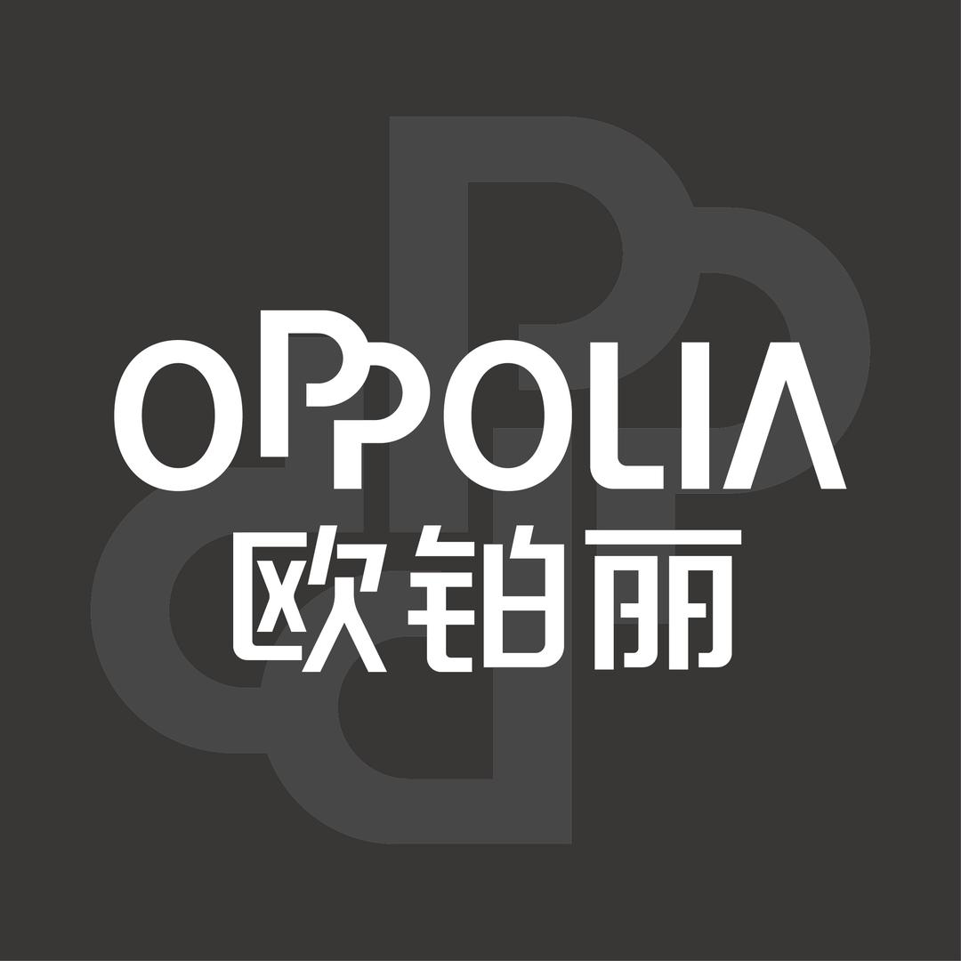 欧铂丽轻奢全案定制