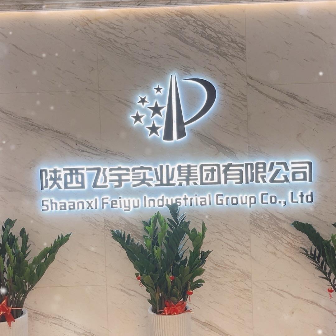 飞宇集团（建筑资质）
