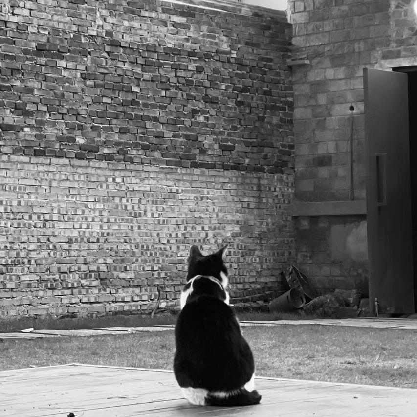 大猫玩路亚